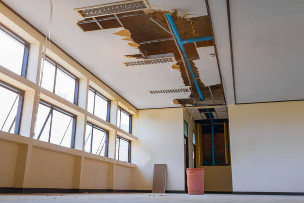 Best Ceiling water damage repair  in Matta, WA