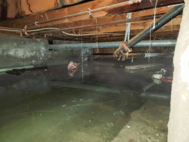 Best Emergency water damage restoration  in Matta, WA