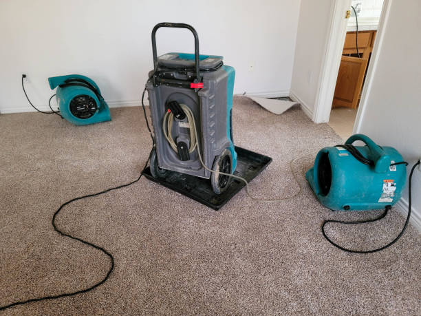 Best Water damage restoration near me  in Matta, WA