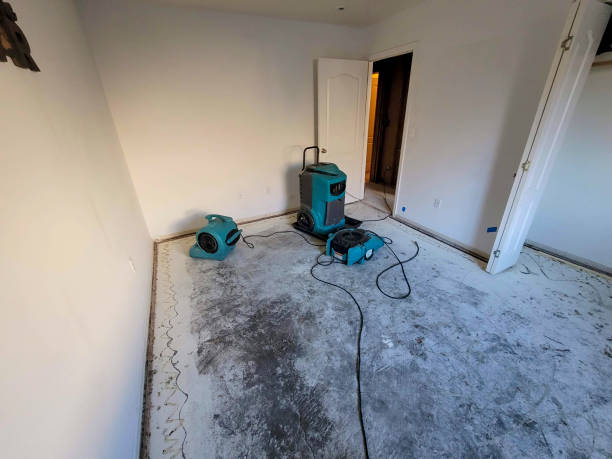 Best Fire Damage Restoration  in Matta, WA