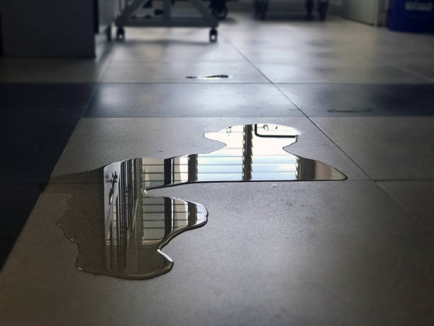 Best Water damage restoration experts  in Matta, WA