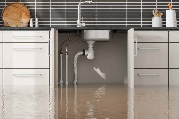Best 24/7 water damage repair  in Matta, WA