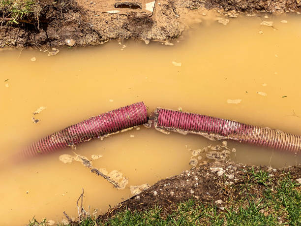Best Local water damage restoration  in Matta, WA